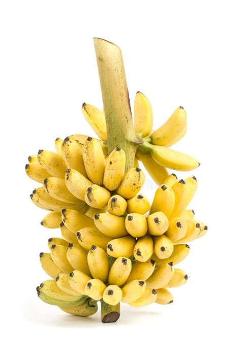 Banana Bunch Cluster Stock Image Image Of Freshness 36602573