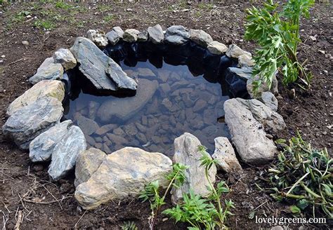 Build A Small Pond In The Garden To Attract Frogs Frogs Are An Organic