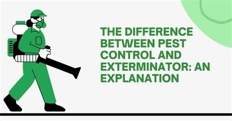 The Difference Between Pest Control And Exterminator An Explanation