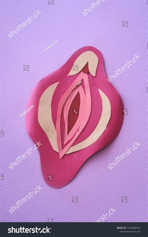 Abstract Female Vagina Gynecology Medicine Women Stockfoto Shutterstock