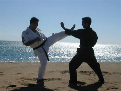Kenpo Karate Front Kick Step By Step Sports And Martial Arts In The