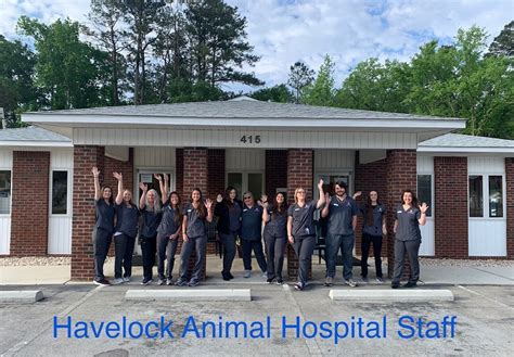 Havelock Animal Hospital Updated April 2024 415 Miller Blvd