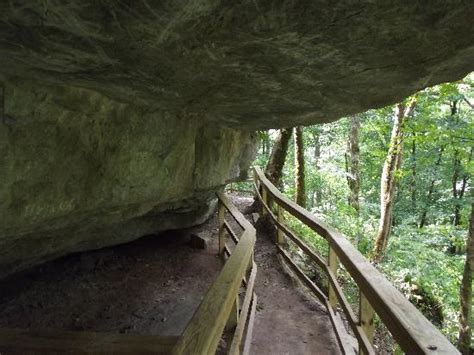 Cedar Sink Trail Mammoth Cave National Park Ky Top Tips Before You