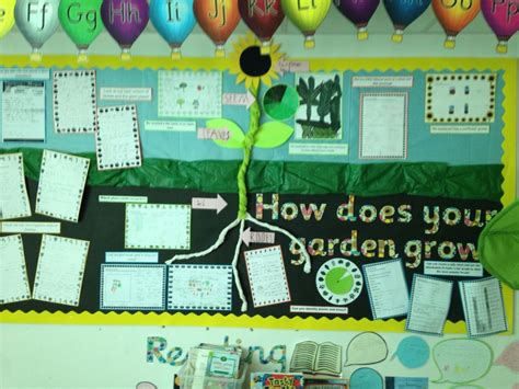 How Does Your Garden Grow Display Boards School Activities Garden
