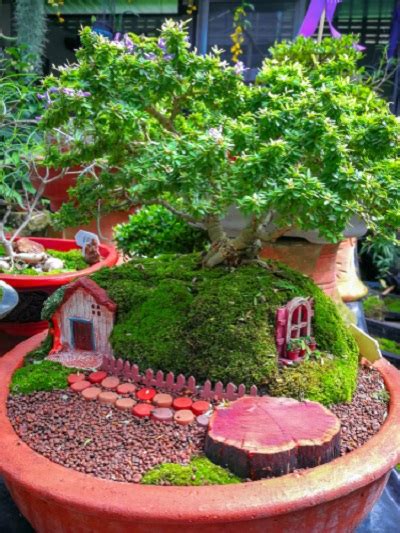 20 Miniature Garden Ideas To Give A Unique Look To Your Apartment