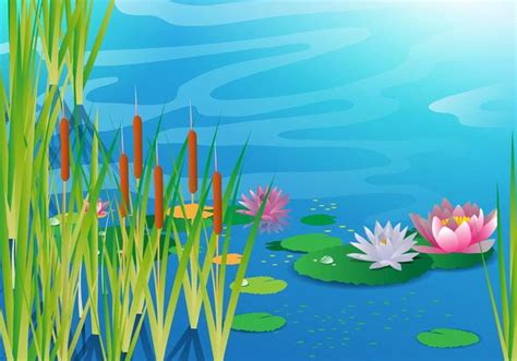 Lake With Cattails Vector Eps Uidownload