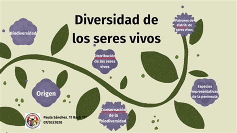 Diversidad De Seres Vivos By Paula Sánchez Rodríguez
