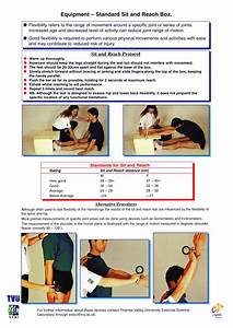 Body Flexibility Assessment Poster Chartex
