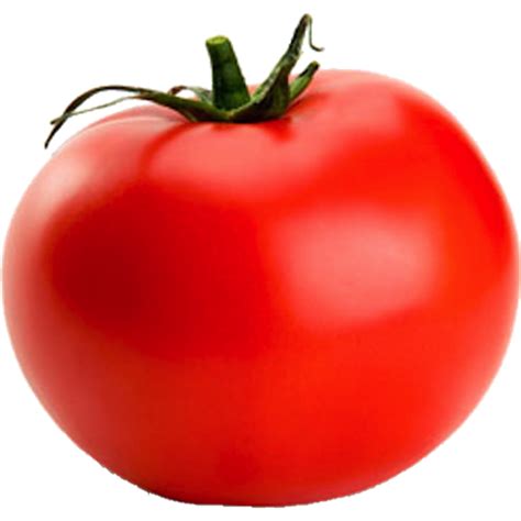 Tomate Clip Art Png Png Mart
