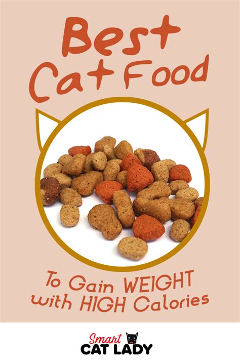 We did not find results for: Best Cat Food to Gain Weight with High Calories | Best cat ...