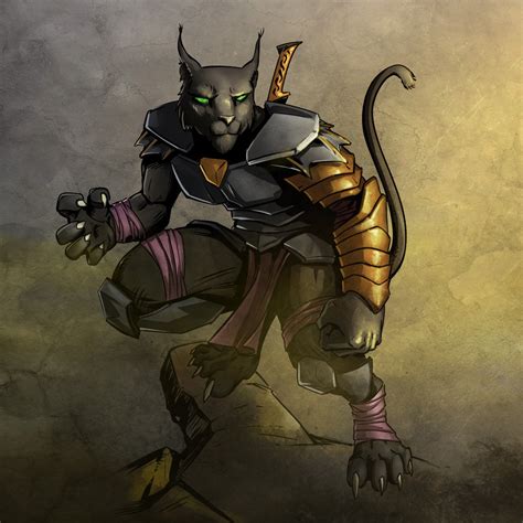 Tabaxi For Dandd 5e R Characterdrawing