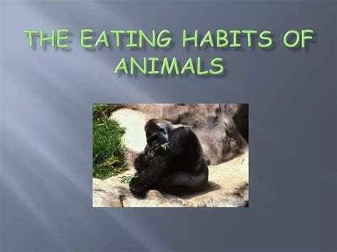 Ppt The Eating Habits Of Animals Powerpoint Presentation Free