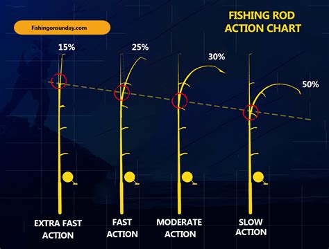 Fishing Rod Action Chart Explained Action Power And Chart
