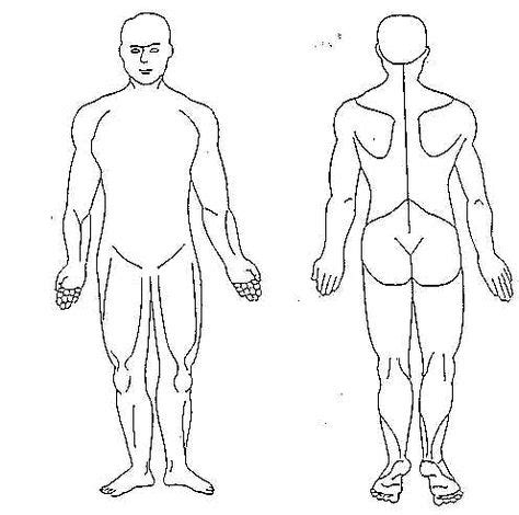 Human Body Diagram Blank With Images Human Body Diagram Body