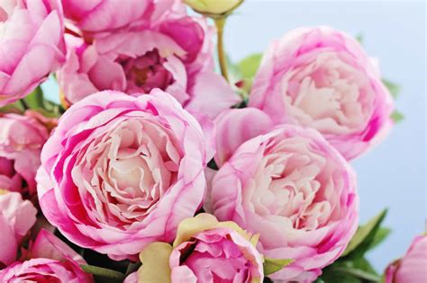 100 floral arrangement name ideas by direct2florist. The Fascinating Origins of 12 Beautiful Flower Names ...