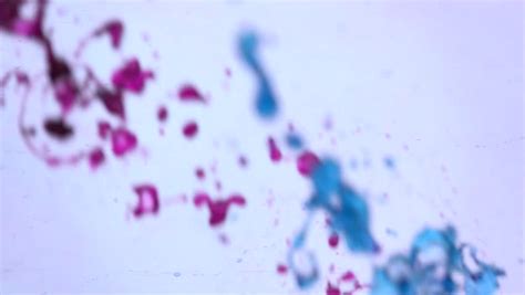 Coli against phage infection to the promise of gene therapy: Escherichia Coli Bacteria (E. Coli) Under Microscope ...