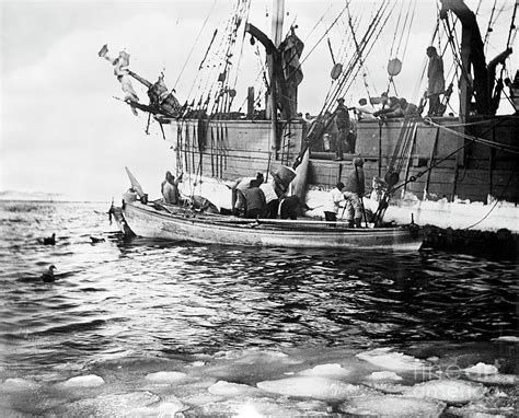 Whaling Boats Photograph By Natural History Museum Londonscience