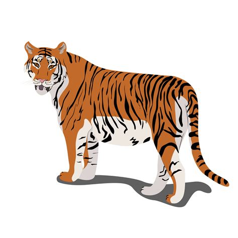 Tiger Standing Vector Illustration In Flat Style Clipart 2422142 Vector