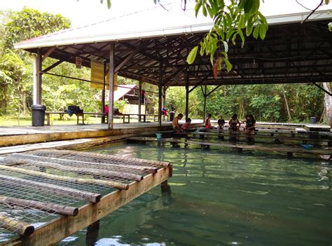 Kota kuching juga memiliki tempat wisata menarik yang letaknya di perairan yang dikenal dengan the esplanade kuching. Tempat Menarik di Kuching: Kampung Panchor Dayak Hot Spring