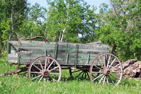 무료 이미지 목재 농장 포도 수확 왜건 카트 국가 수송 시골의 말뚝 녹색 마차 농촌 지역 육상 차량