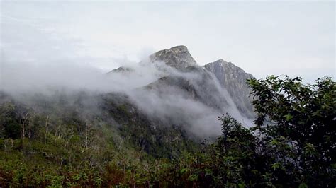 Climbing Malawis Mount Mulanje Safari254