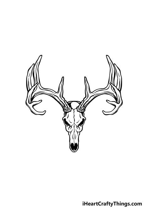 Deer Skull Illustration Drawing Engraving Ink Line Art Vector Stock