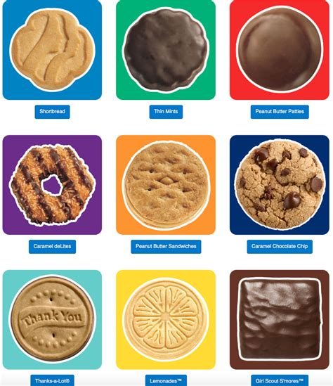 Dying For Chocolate Girl Scout Thin Mint Cookies Brownies