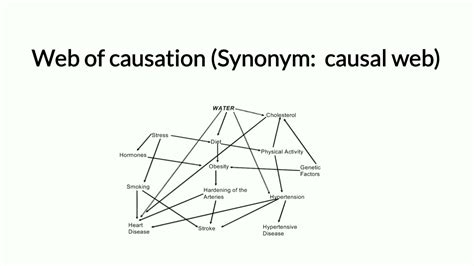 Web Of Causation Youtube