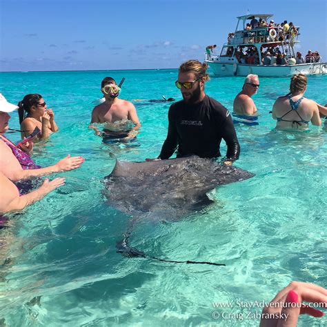 visiting stingray city in grand cayman stay adventurous mindset for travel blog