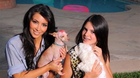 Kim Kardashian Hasnt Had The Best Luck With Pets Huffpost