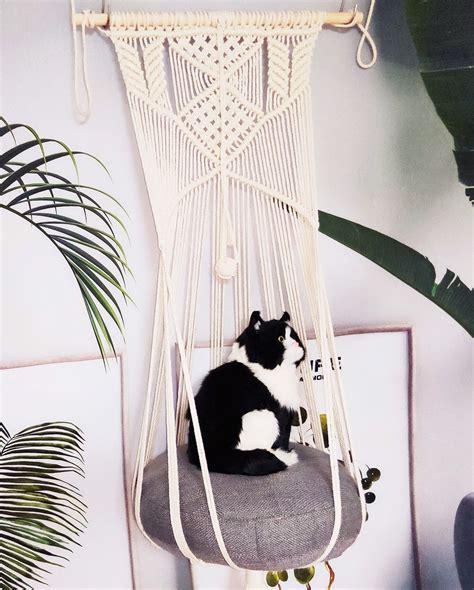 Hanging Macrame Cat Hammock Bed Macrame Hanging Cat Planter Etsy