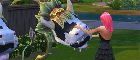 Buy Cowplant Sims 4 Livestock Info
