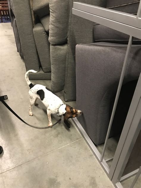 Residents in port charlotte, florida turn to hughes exterminators for professional pest control. Ace Pest Management | Pest Control North Port, FL | Pest ...