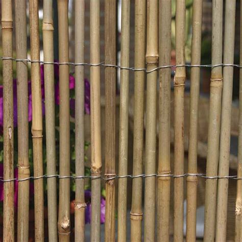 Vx Bamboo Screen Vx5200 Fencing And Trellises Dubai Garden Centre