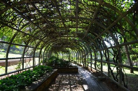 Reason is, i don't have a bicycle. Botanical Garden Putrajaya Map - Dennis G. Zill