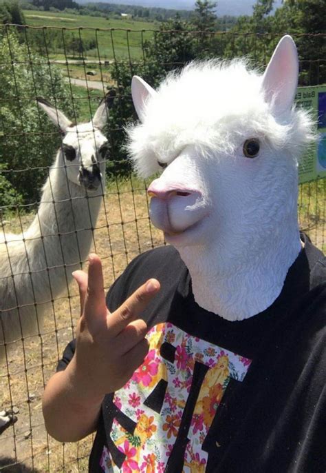 Which is the best example of a weird image? Funny Weird People Who Like To Look As Stupid (68 Photos ...