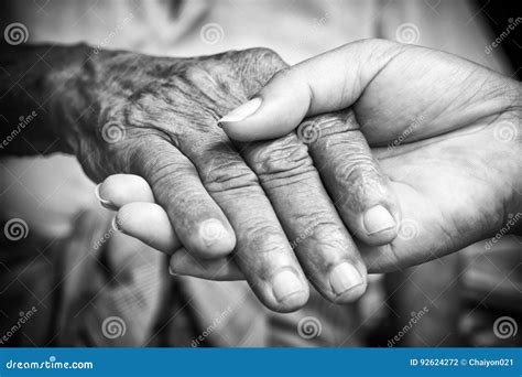 Senior And Young Holding Hands Stock Photo Image Of Effect Care