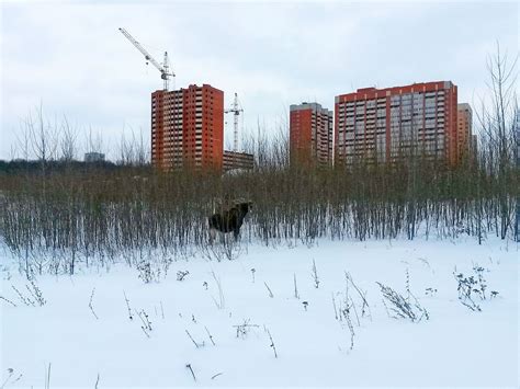 Дмитрий губерниев — популярный российский журналист, телеведущий, известный комментатор, который захватывающе рассказывает о различных спортивных новостях и. Дмитрий Губерниев заступился за парк «Дружба»