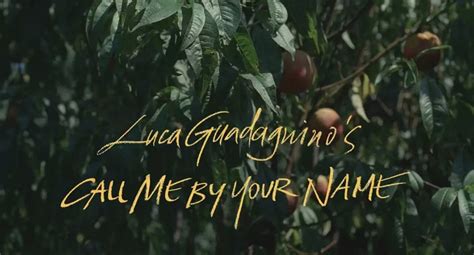Please Call Me By Your Name 堆糖，美图壁纸兴趣社区