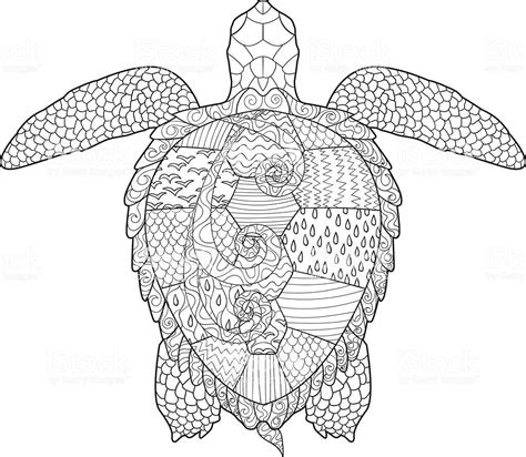 Box Turtle Coloring Pages Coloring Pages Turtles Free Printable