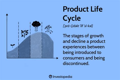 Product Life Cycle Explained Stage And Examples