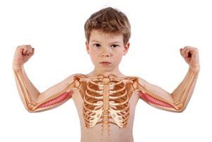 Your symptoms indicate that you must see your primary doctor. Large, Small, Painful, Hard, Children's Lump on Rib Cage: Causes and Treatments