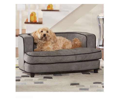 Elevated Dog Bed Raised Couch Medium Dogs Puppy Removable Cover Pet