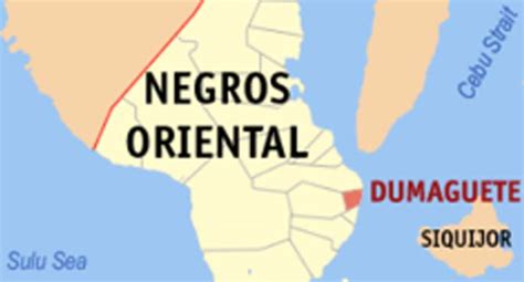 Dumaguete City Barangay Chairman Shot To Death