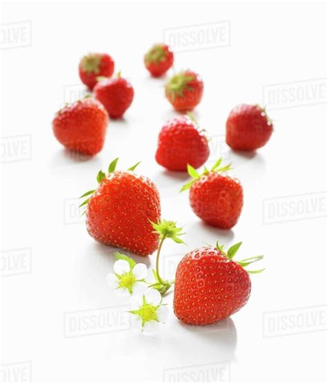 Several Strawberries Stock Photo Dissolve