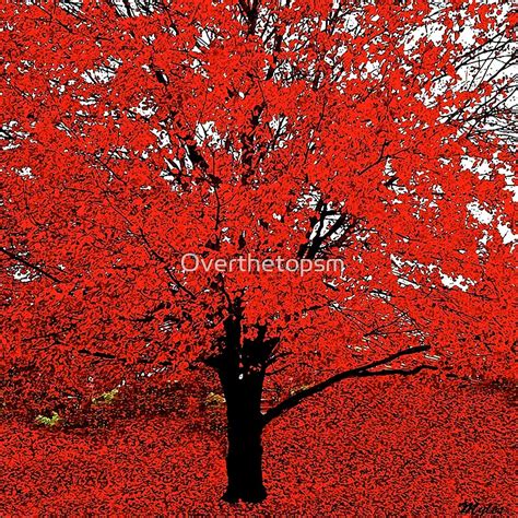 Bright Red Autumn Tree Bursting With Colortrees Fantasy Autumn