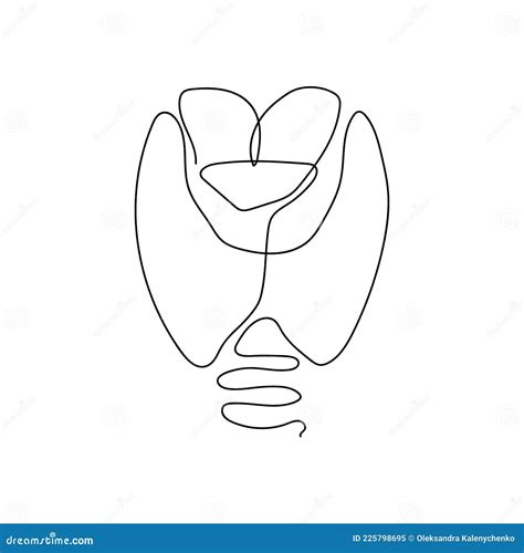 Human Thyroid Gland One Line Art Continuous Line Drawing Of Human