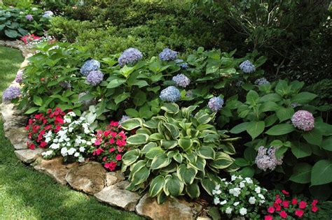 Find the perfect hydrangea border stock photos and editorial news pictures from getty images. Hydrangea And Hosta Garden - Garden Ftempo