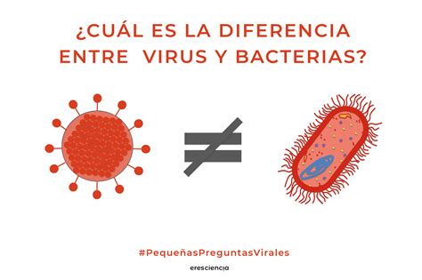 Vídeo Cuál Es La Diferencia Entre Un Virus Y Una Bacteria Eres Ciencia