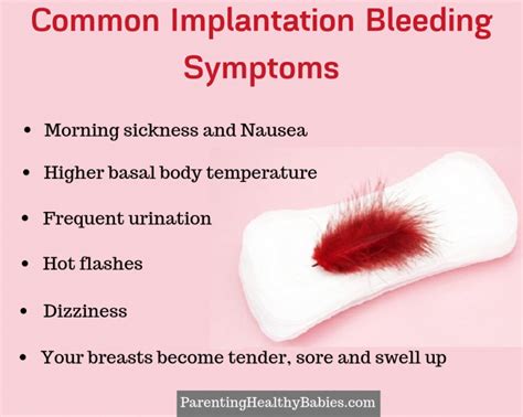 Implantation Bleeding Types Causes Symptoms